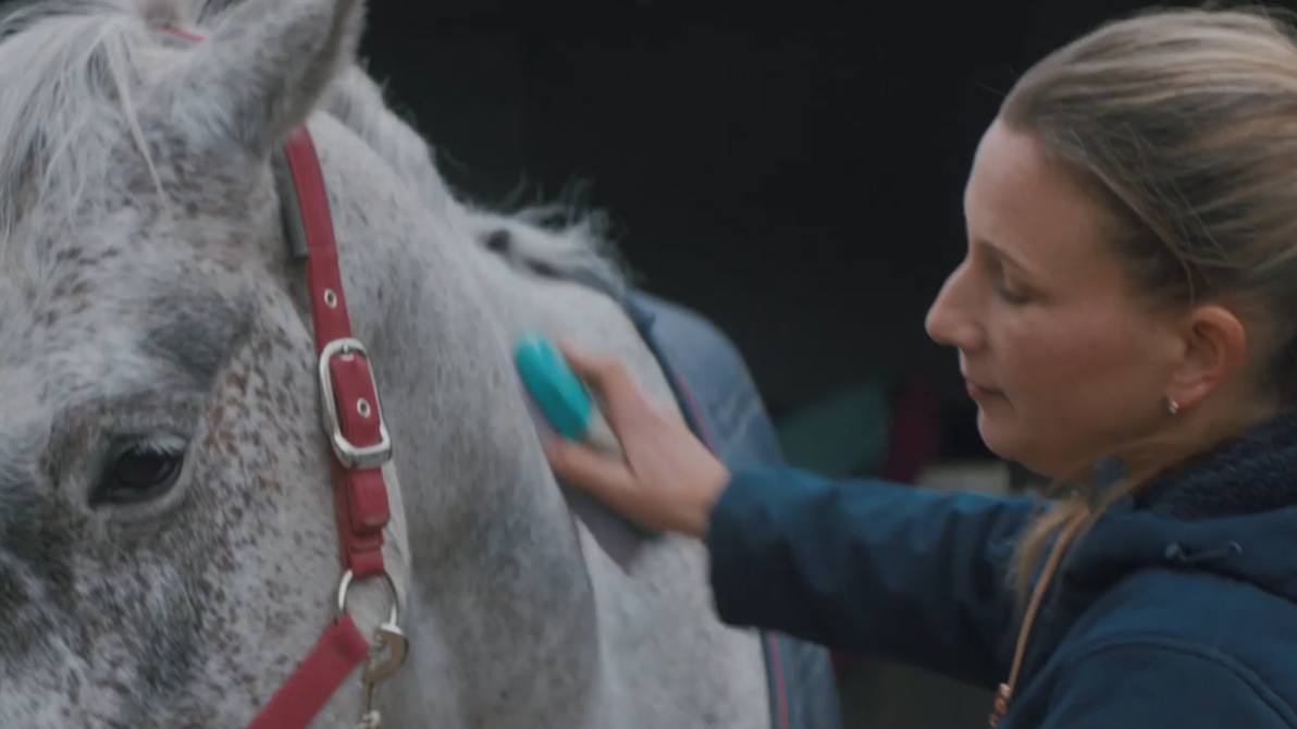 bev-horse-2