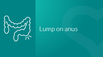 icon_anuslump
