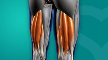 image_hamstringinjury